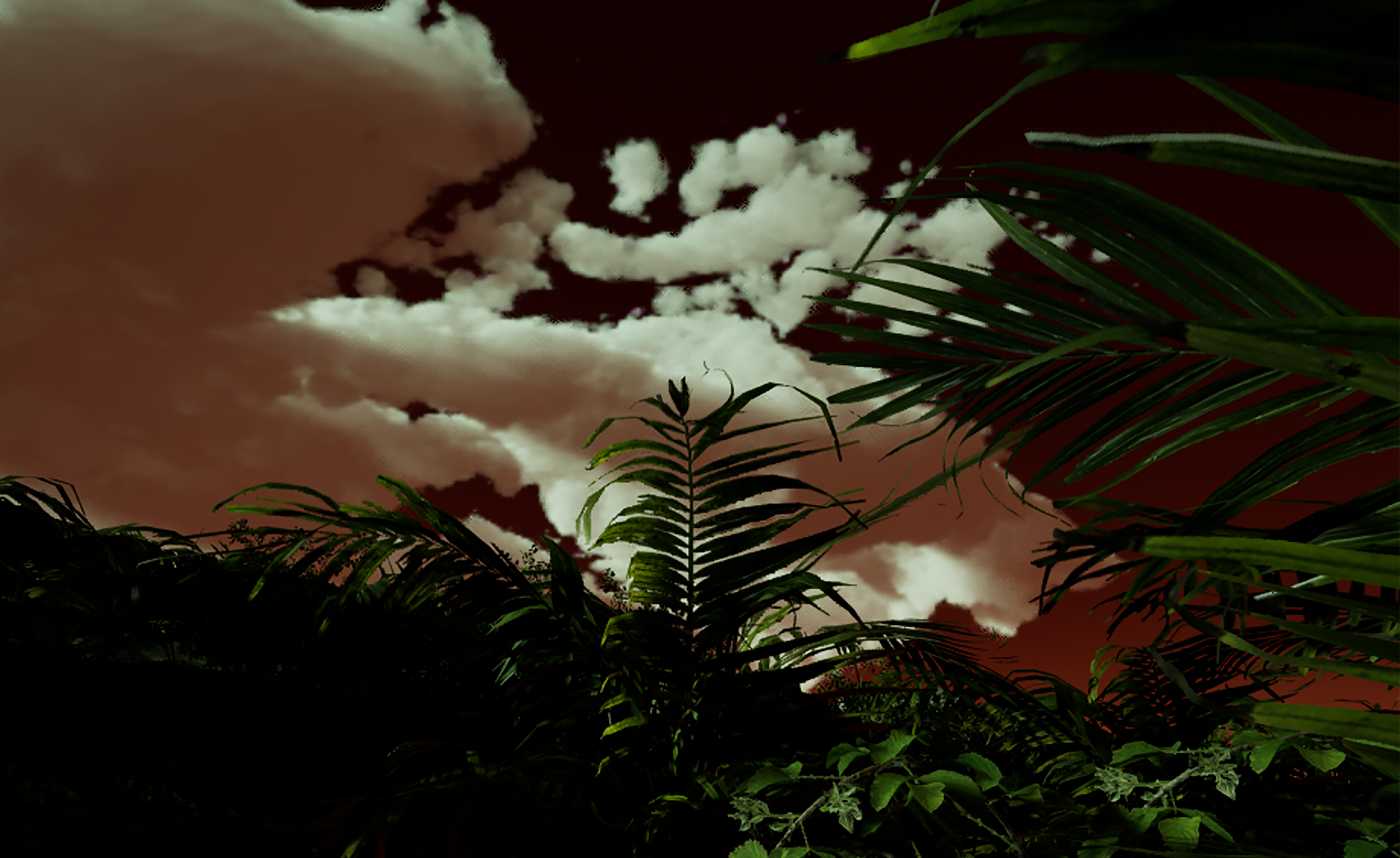 photo of angeline meitzler artwork the roaring of the carabao