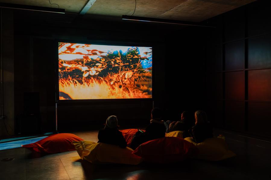 photo of angeline marie michael meitzler installation